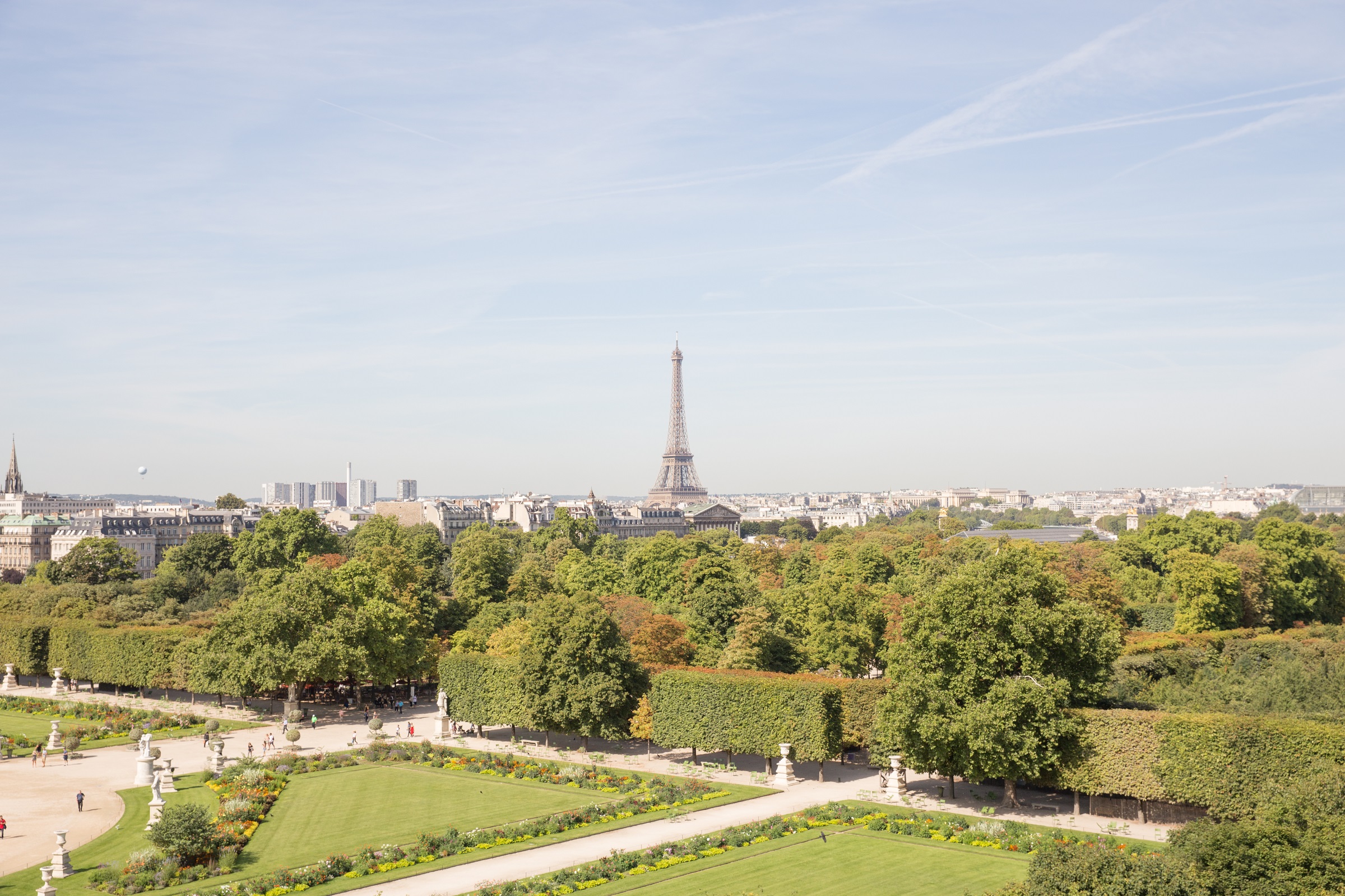 2020ホームページヘッダー